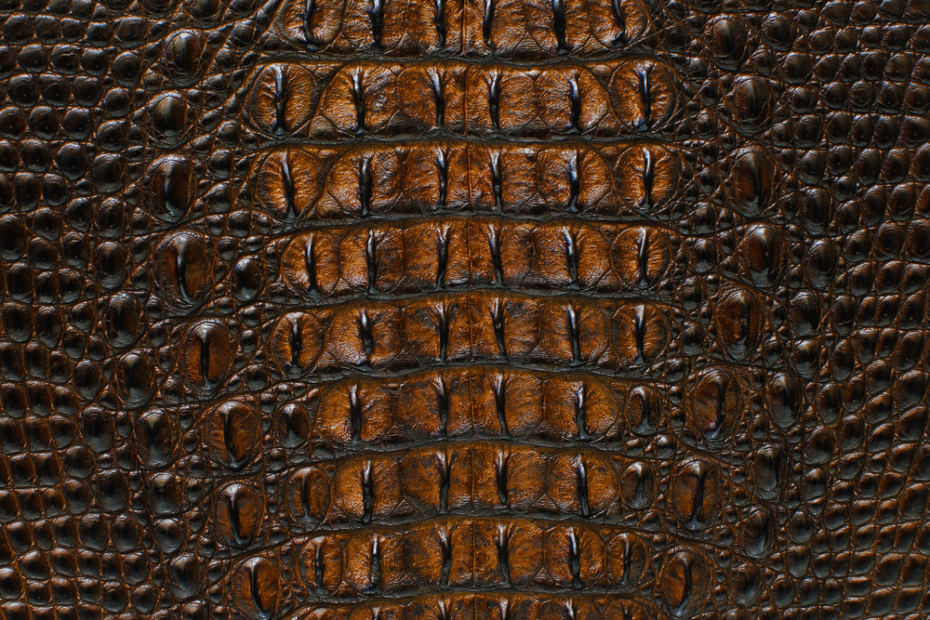 GOLD CROCODILE