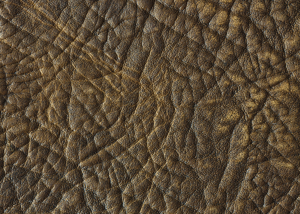 Soft and durable elephant leather with authentic textured surface. Luxury elephant leather hide showing natural texture and details. Artisan working with elephant leather showcasing its unique texture